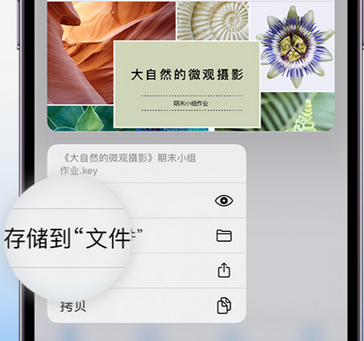 盱眙apple维修中心分享iPhone文件应用中存储和找到下载文件