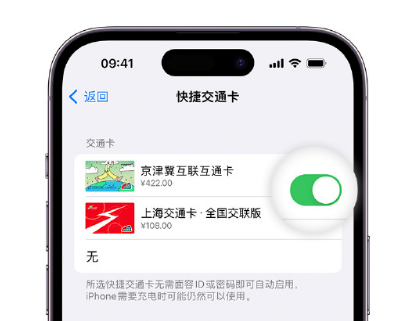 盱眙apple维修点分享iPhone上更换Apple Pay快捷交通卡手绘卡面 