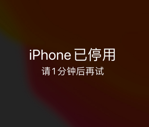 盱眙苹果手机维修分享:iPhone 显示“不可用”或“已停用”怎么办？还能保留数据吗？ 