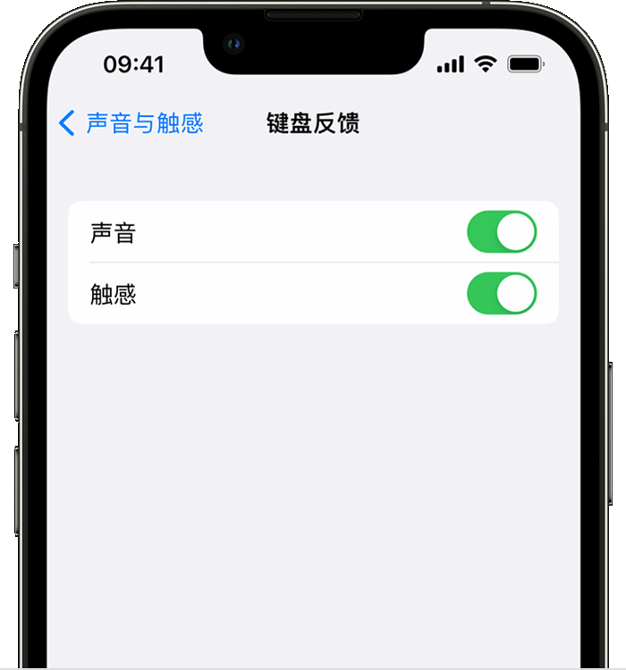 盱眙苹果14维修店分享如何在 iPhone 14 机型中使用触感键盘 