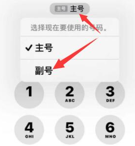 盱眙苹果14维修店分享iPhone 14 Pro Max使用副卡打电话的方法 