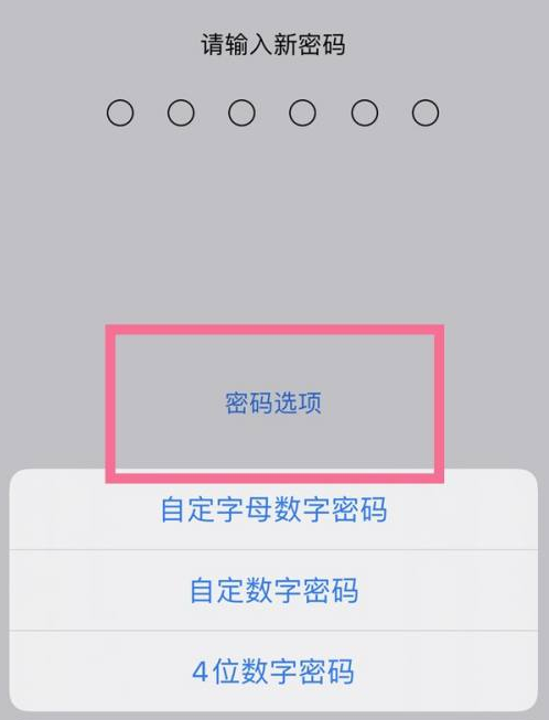 盱眙苹果14维修分享iPhone 14plus设置密码的方法 